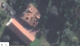 2021-02-08 (5).png